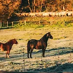 Ferienhaus Homnest - Confins Des Domes - Volvic & Vulcania *