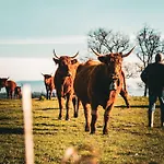 Ferienhaus Homnest - Confins Des Domes - Volvic & Vulcania